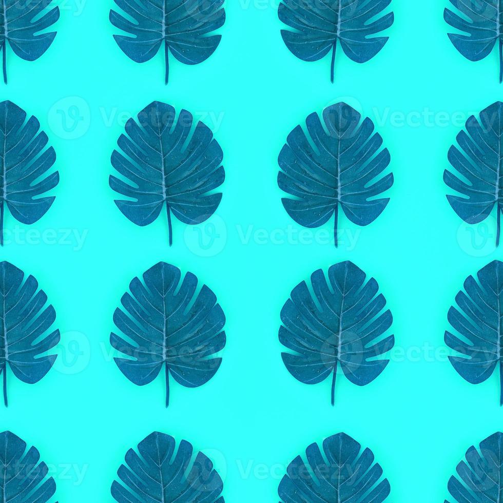 Tropical palm monstera leaves lies on a pastel colored paper. Nature summer concept pattern. Flat lay composition. Top view photo