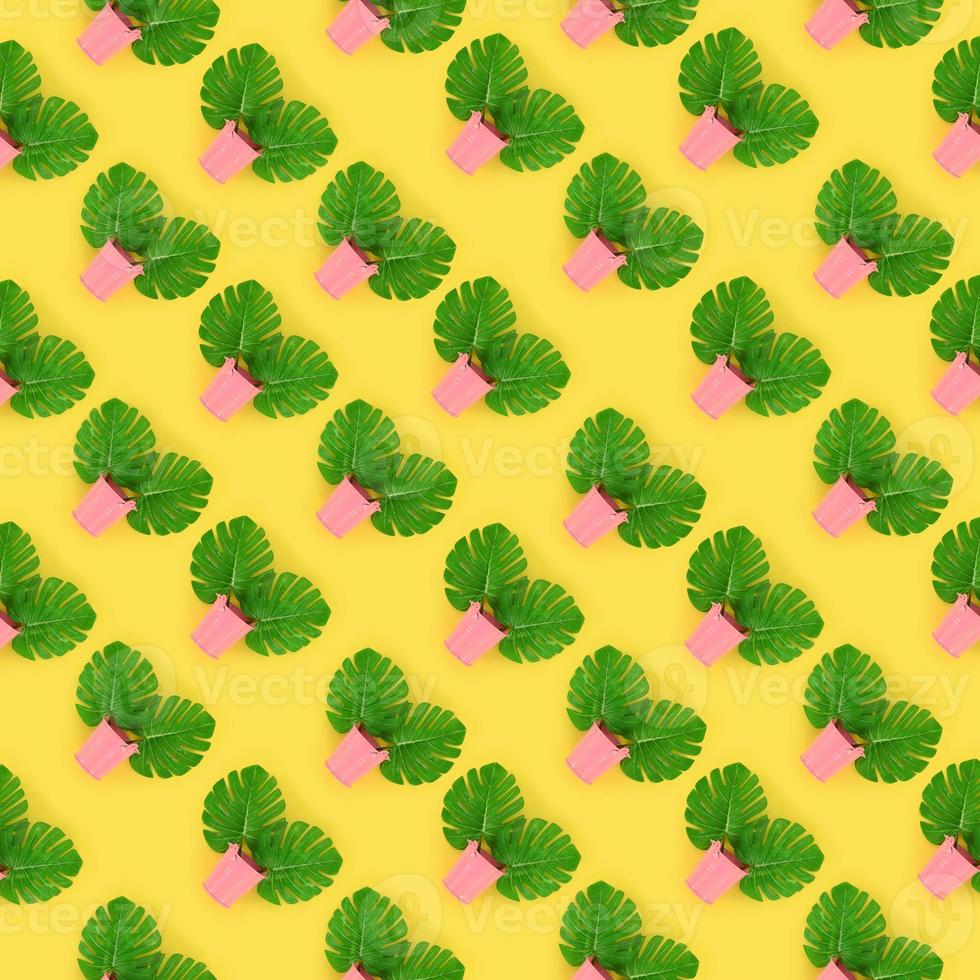 las hojas de monstera de palma tropical se encuentran en cubos pastel sobre un fondo de color. patrón mínimo de moda endecha plana. vista superior foto