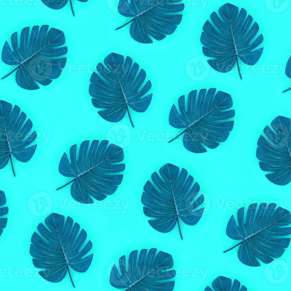 Tropical palm monstera leaves lies on a pastel colored paper. Nature summer concept pattern. Flat lay composition. Top view photo