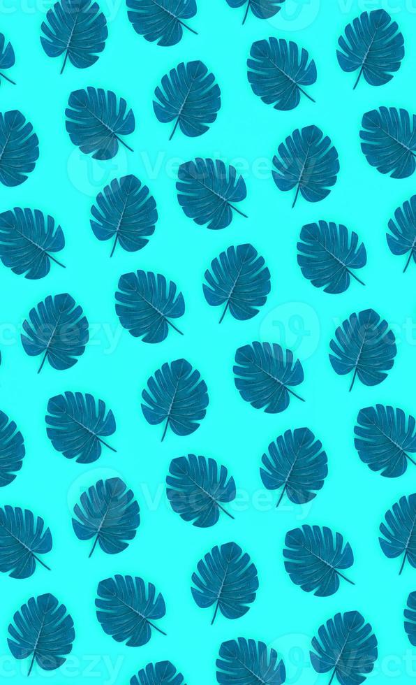 Tropical palm monstera leaves lies on a pastel colored paper. Nature summer concept pattern. Flat lay composition. Top view photo