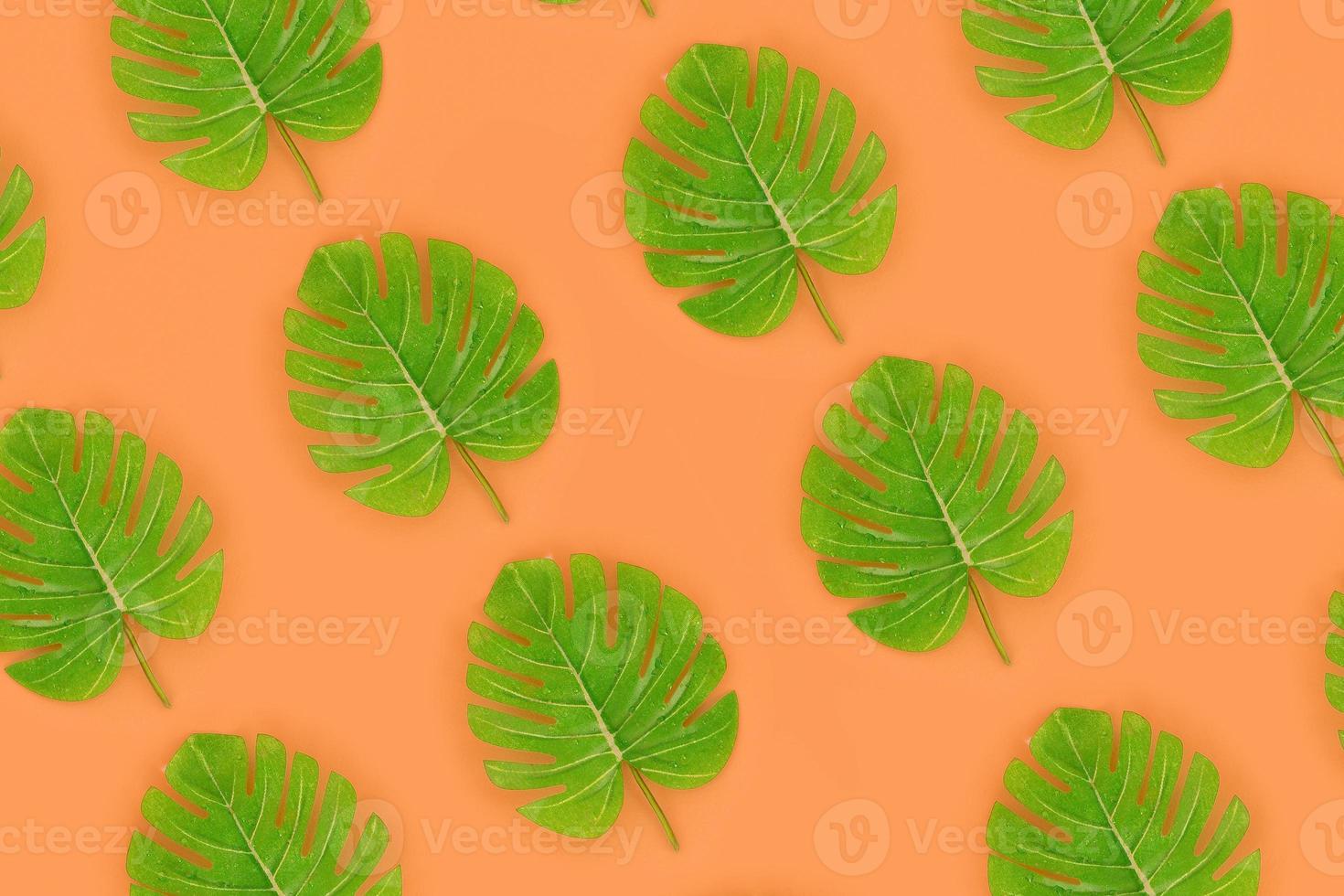 Tropical palm monstera leaves lies on a pastel colored paper. Nature summer concept pattern. Flat lay composition. Top view photo