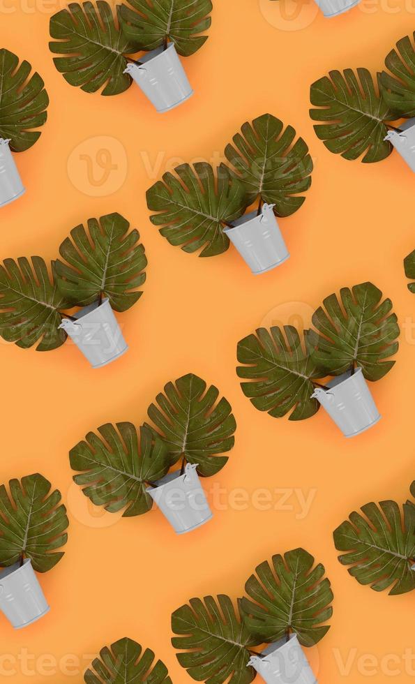 las hojas de monstera de palma tropical se encuentran en cubos pastel sobre un fondo de color. patrón mínimo de moda endecha plana. vista superior foto
