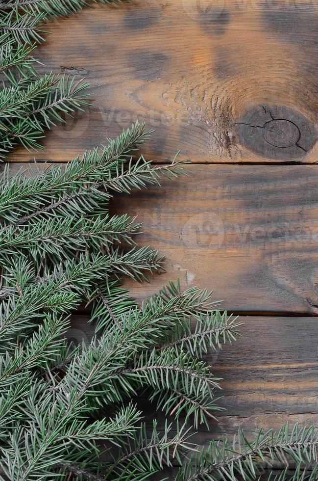 Tree branch on rustic wooden background used for christmas decoration photo
