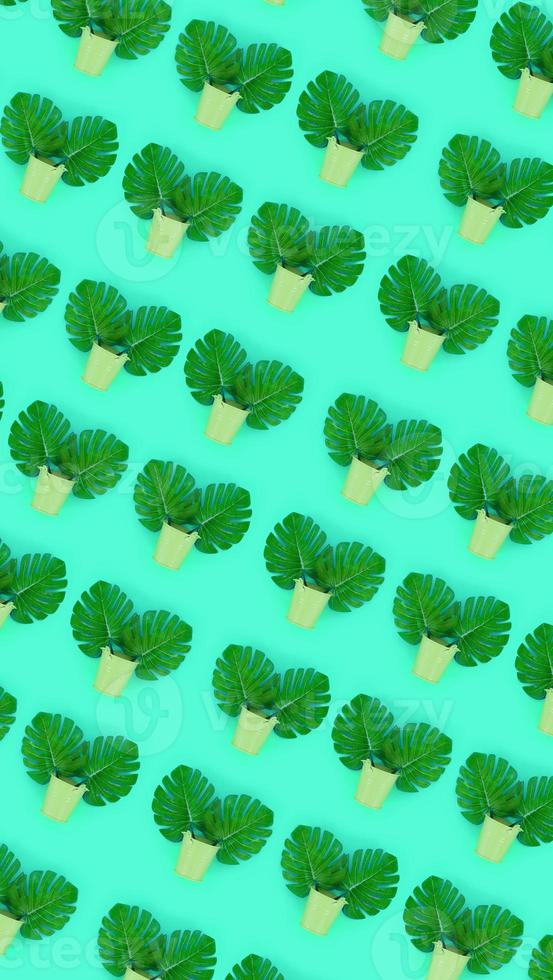 Tropical palm monstera leaves lies in a pastel pails on a colored background. Flat lay trendy minimal pattern. Top view photo