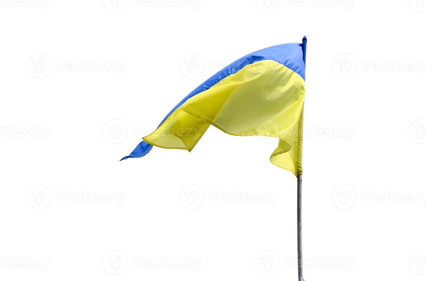 Ukrainian flag fluttering in wind isolated on white background photo