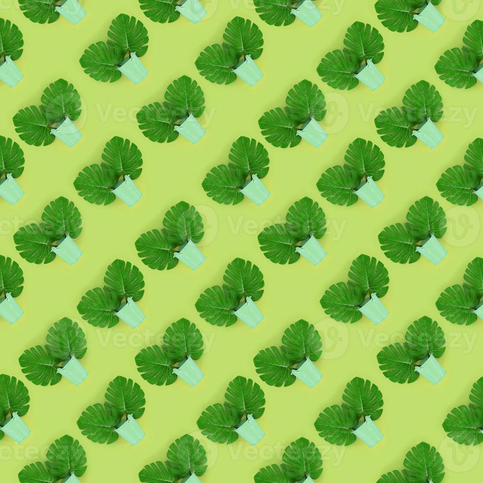 Tropical palm monstera leaves lies in a pastel pails on a colored background. Flat lay trendy minimal pattern. Top view photo