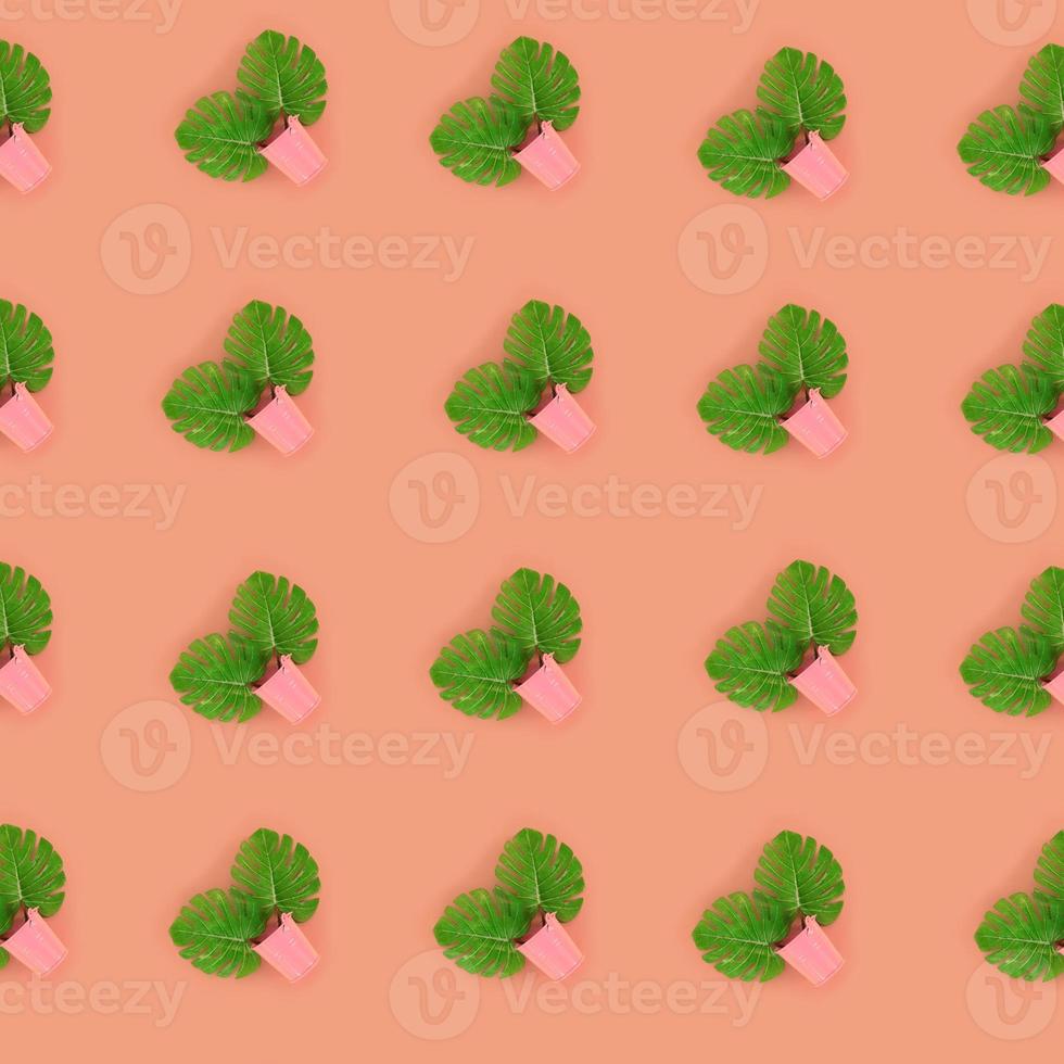 Tropical palm monstera leaves lies in a pastel pails on a colored background. Flat lay trendy minimal pattern. Top view photo