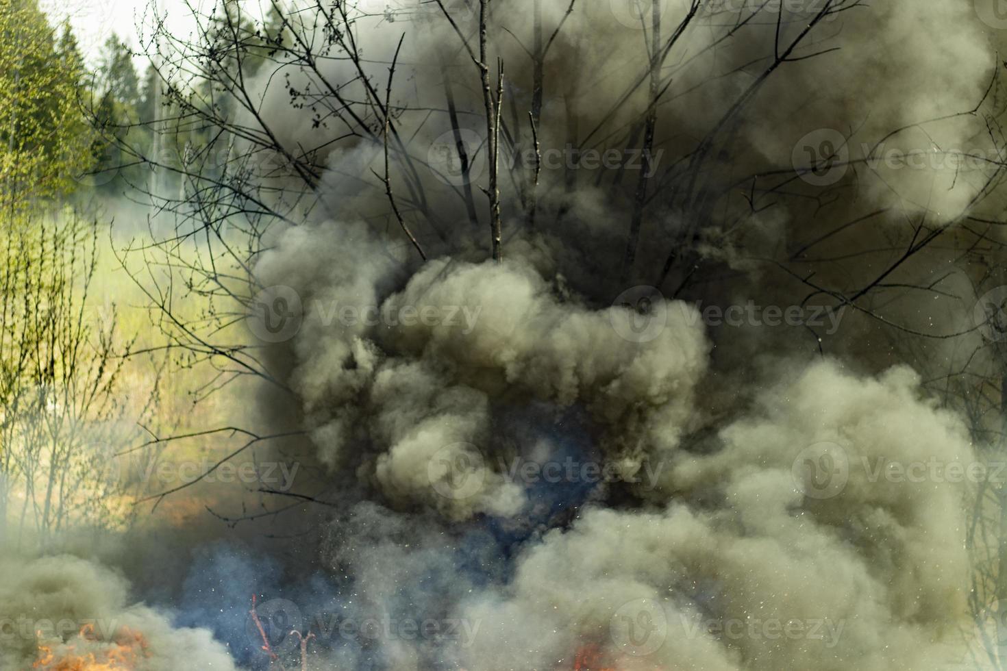 Black smoke and fire. Fire in forest. Burning of garbage. photo