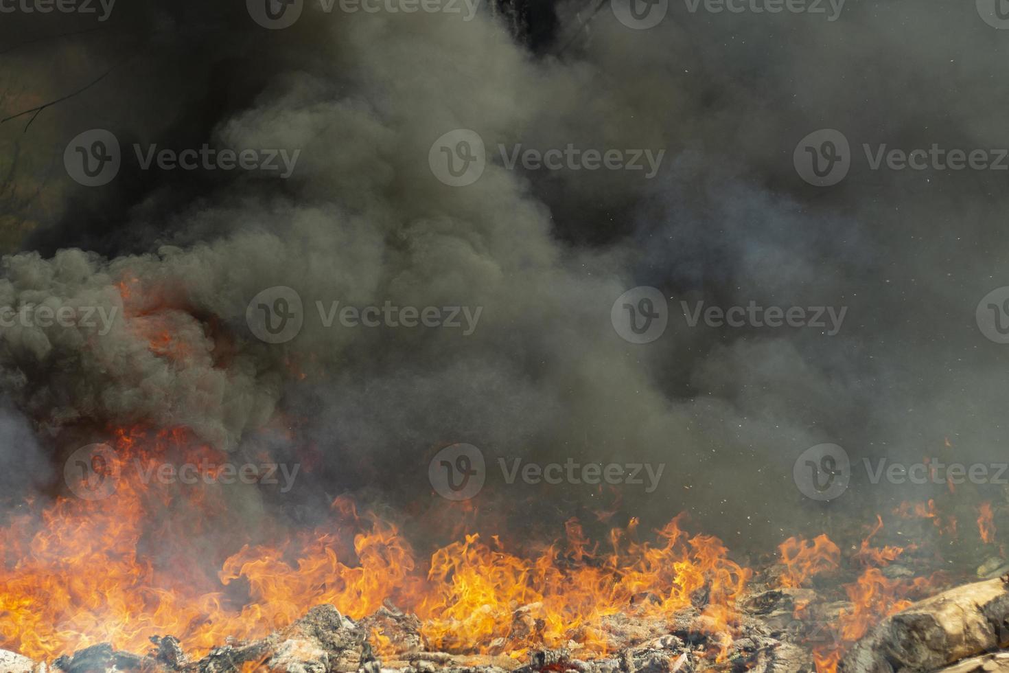 Black smoke and fire. Fire in forest. Burning of garbage. photo