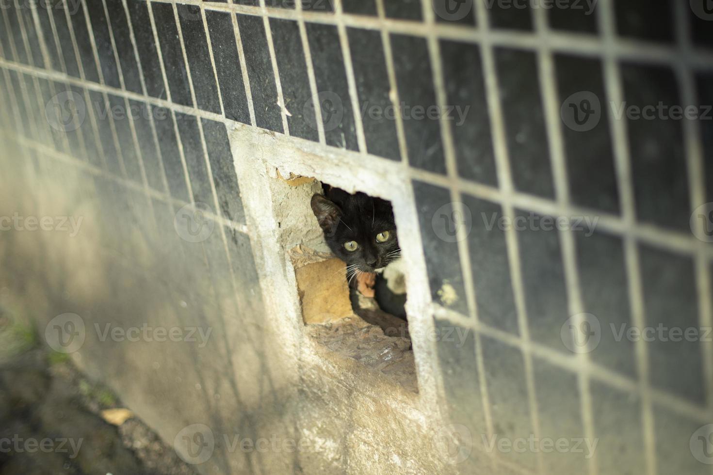 agujero en el sótano de la casa. agujero en la pared. foto