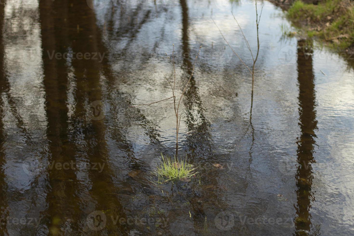 Water in spring. Waves on surface. Spring puddle. Details of nature. photo