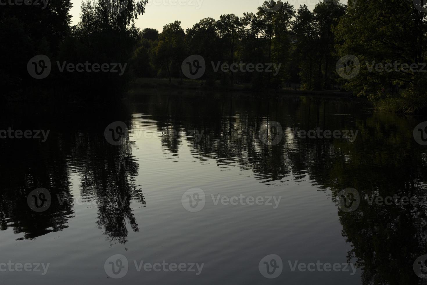 Fan on pond in park. Forest reflection in water. Lake after sunset. photo