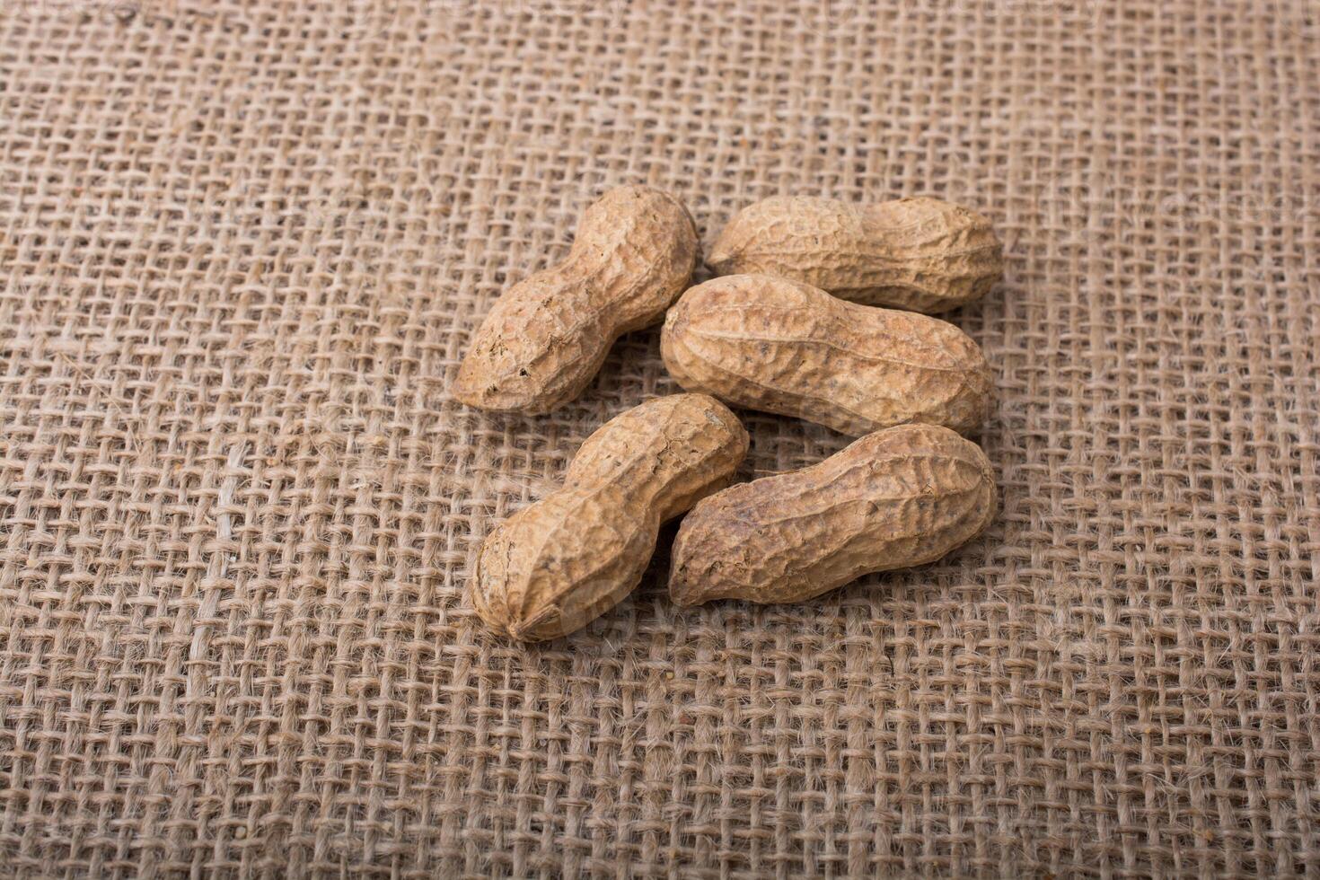 Peanuts with shell on a linen canvas background 14513191 Stock Photo at