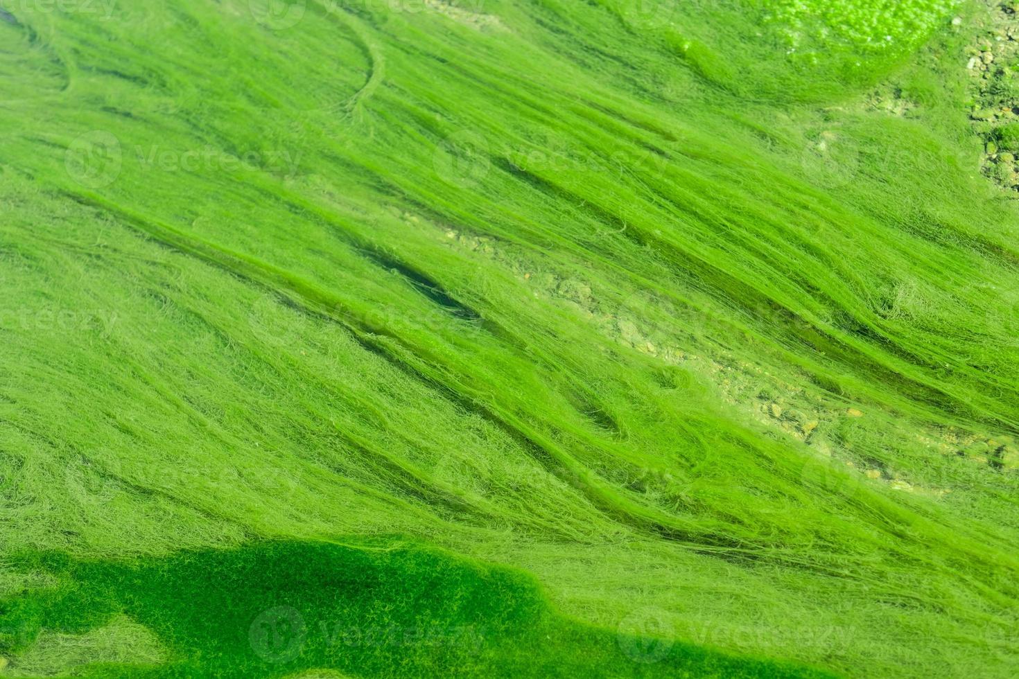 bright green mud close-up. Acid color green background photo