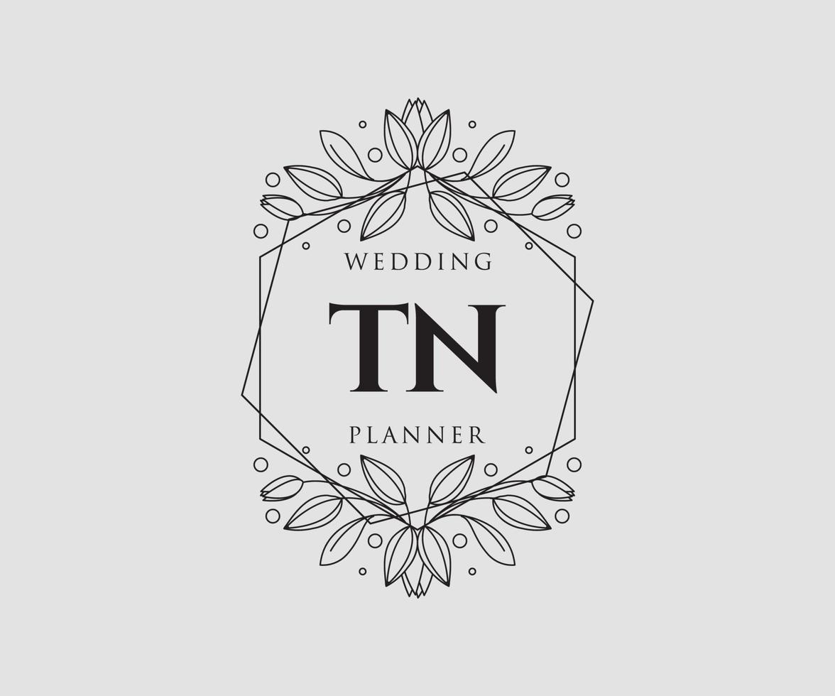 colección de logotipos de monograma de boda con letras iniciales tn, plantillas florales y minimalistas modernas dibujadas a mano para tarjetas de invitación, guardar la fecha, identidad elegante para restaurante, boutique, café en vector