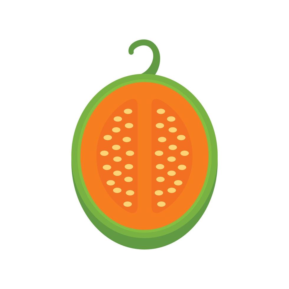 Green melon icon, flat style vector