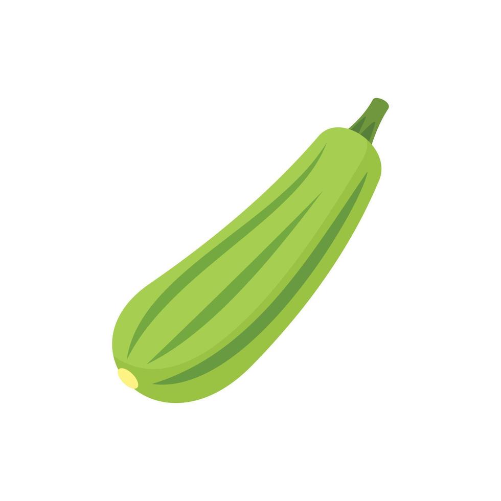 Bottle gourd icon, flat style vector