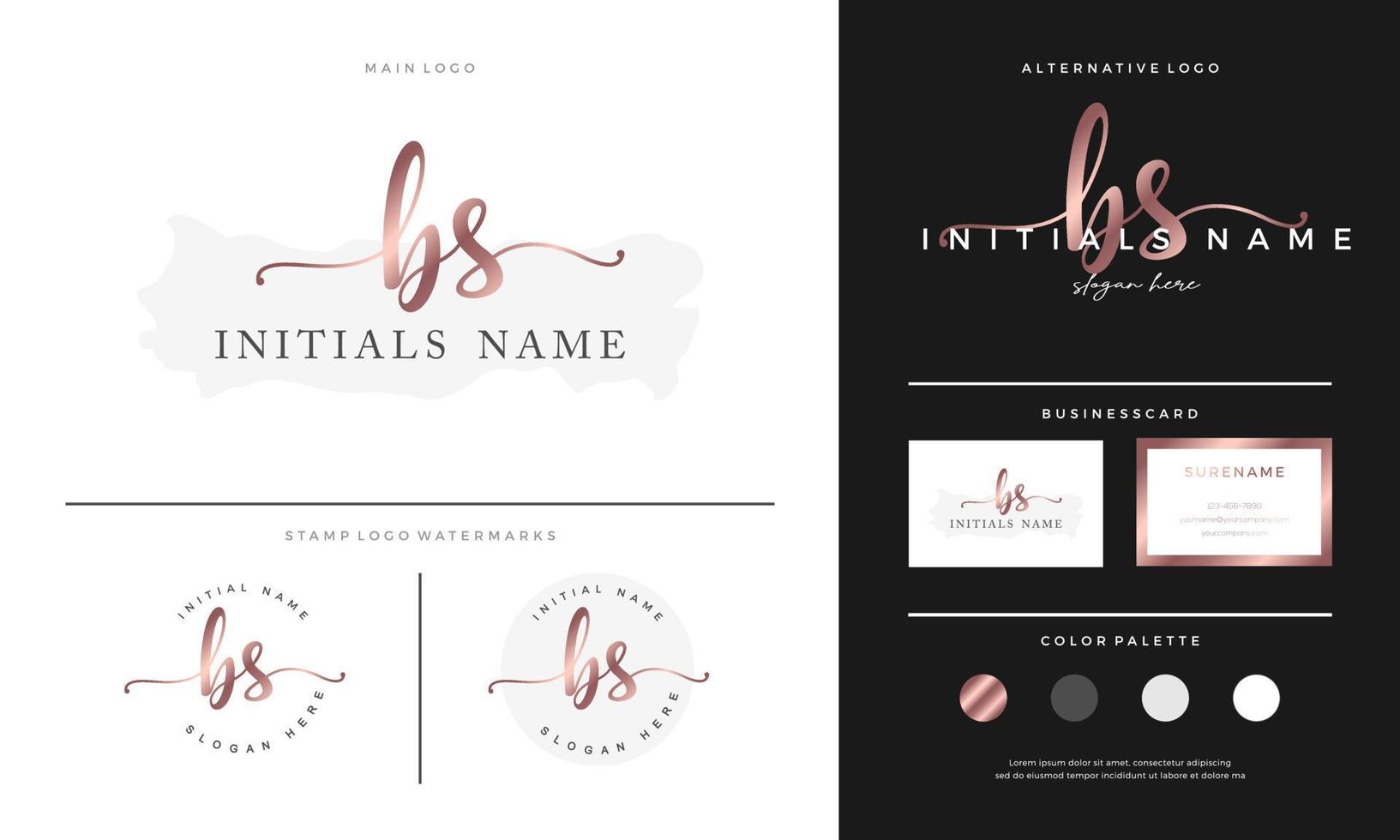 letter BS B S handwriting Initial feminine and beauty logo design template on gold. vector