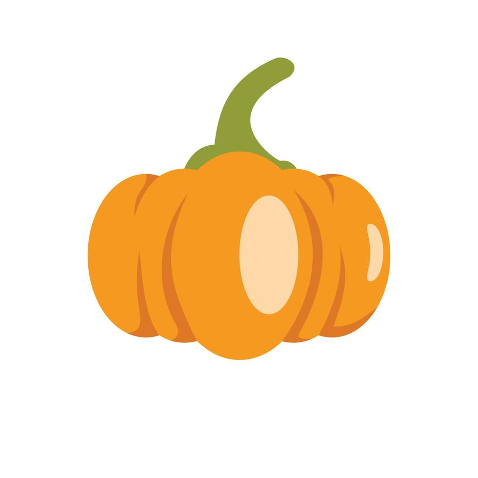 Pumpkin icon, flat style. vector