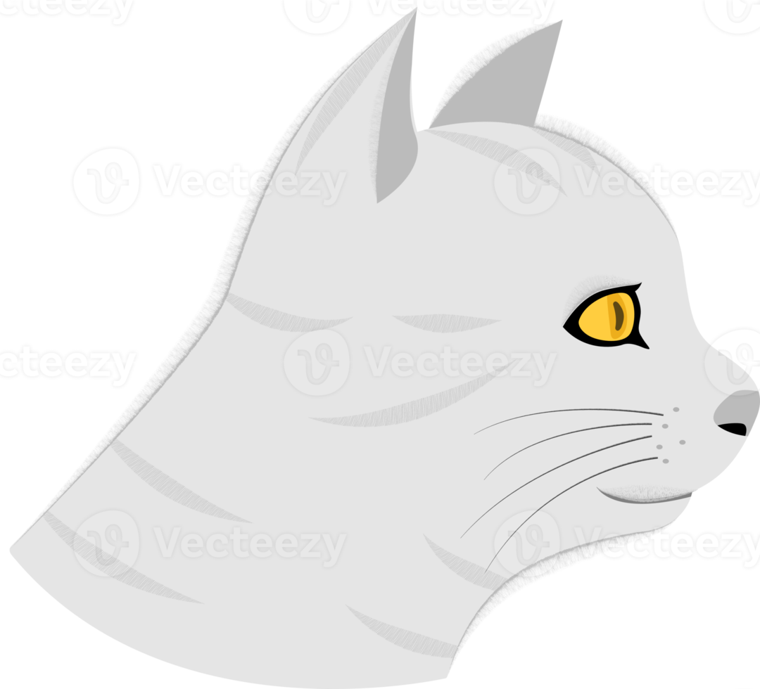 vue latérale du visage du chat. png