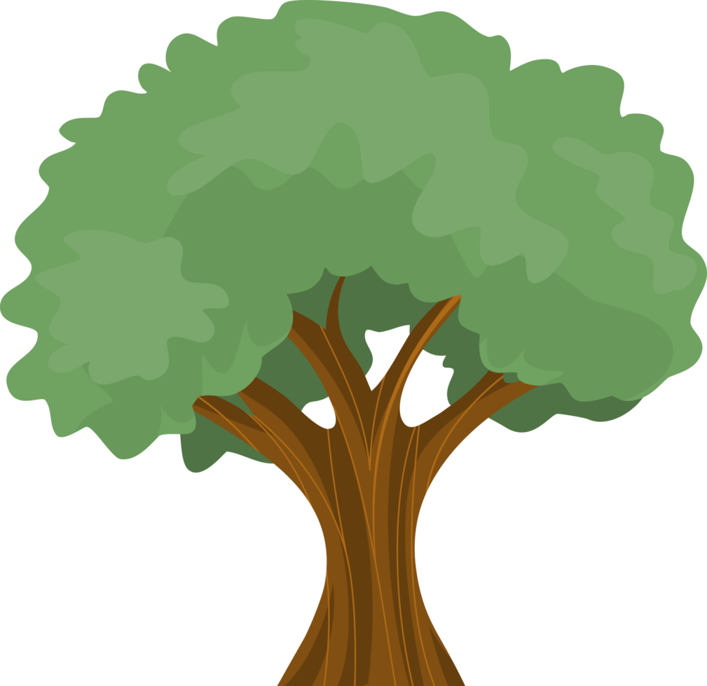 Green tree isolated. png