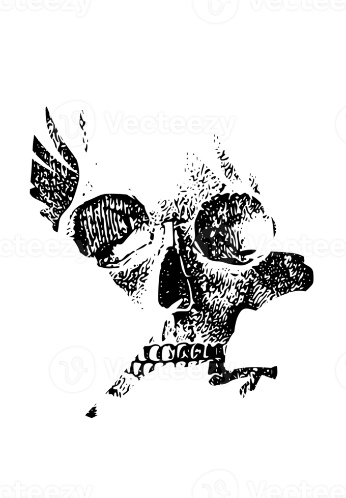 crânio em um corvo voador recortado ilustração png