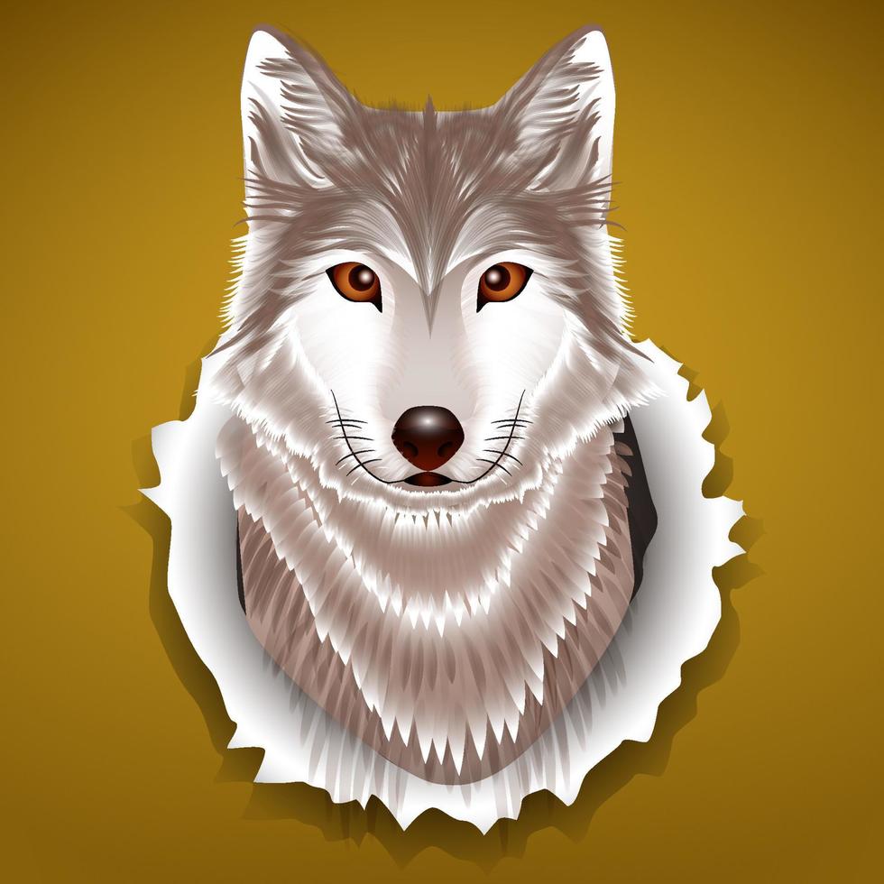 cara de animal lobo. cabeza de lobo gris aterrador. retrato de lobo salvaje gris de piel realista sobre fondo amarillo. vector