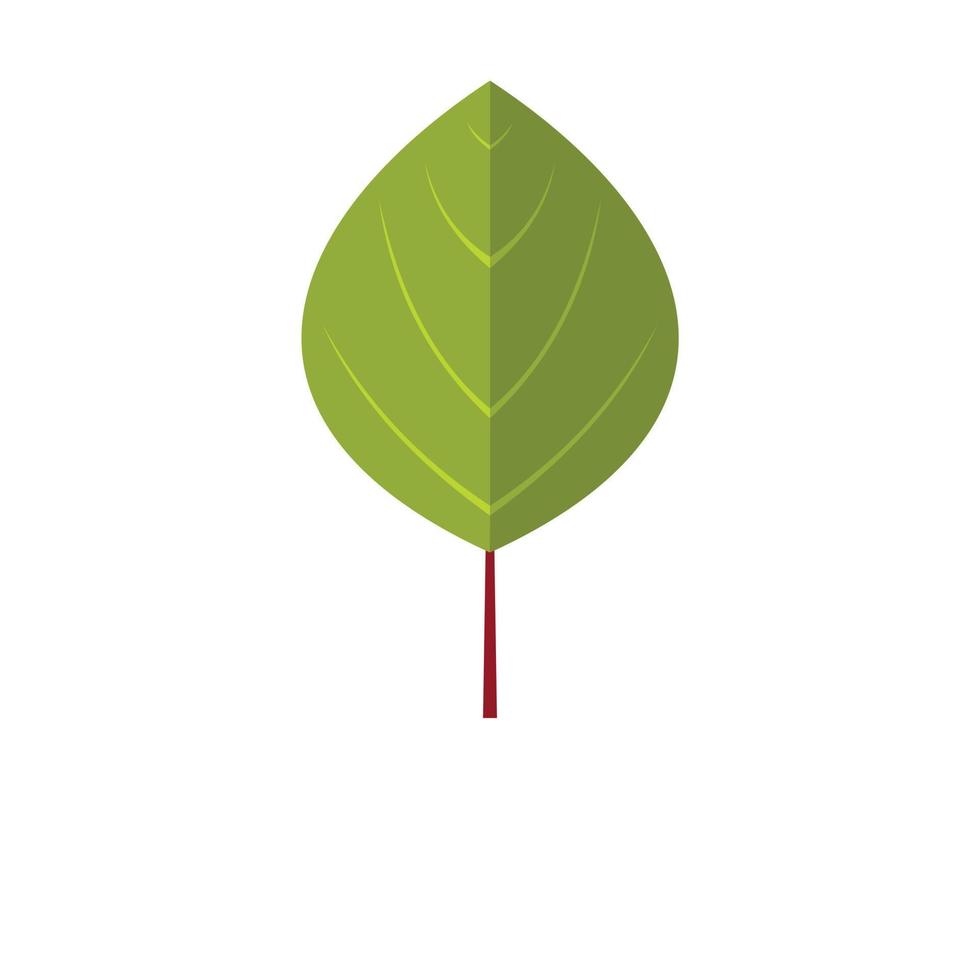 Apricot leaf icon, flat style vector