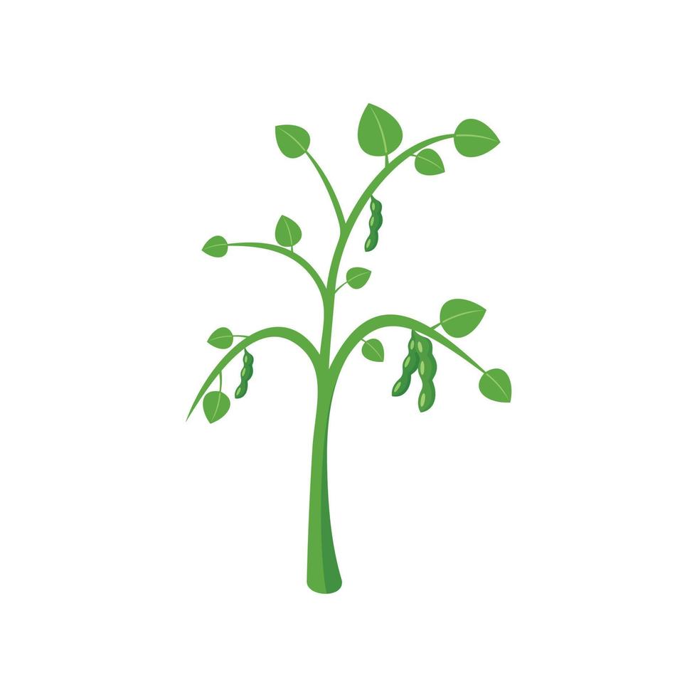 Peas plant icon, flat style vector