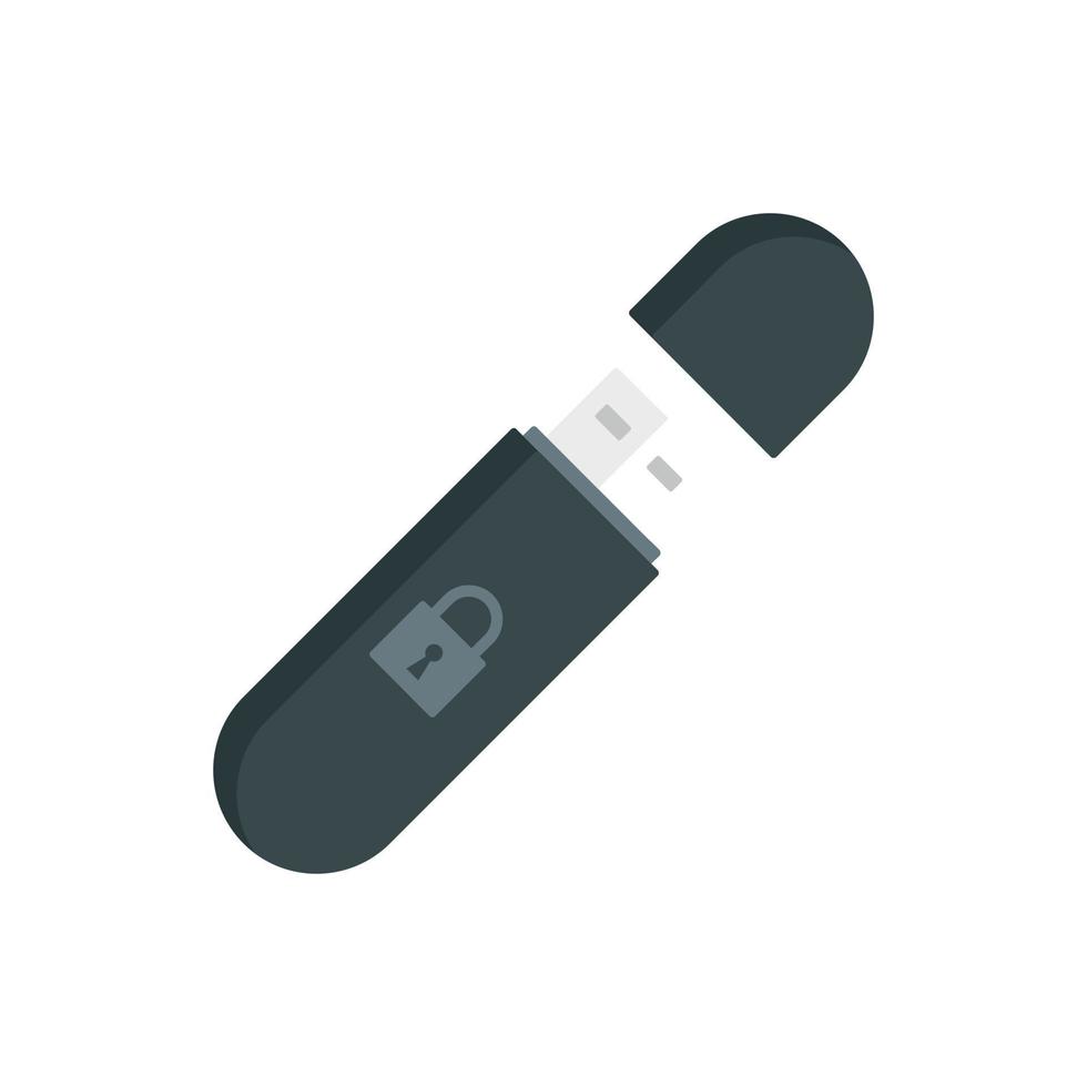 Secured usb flash icon, flat style vector