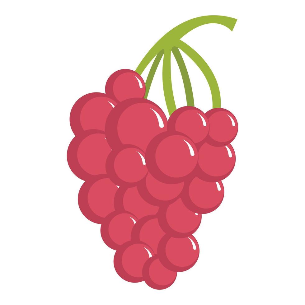 Grape icon, cartoon style vector