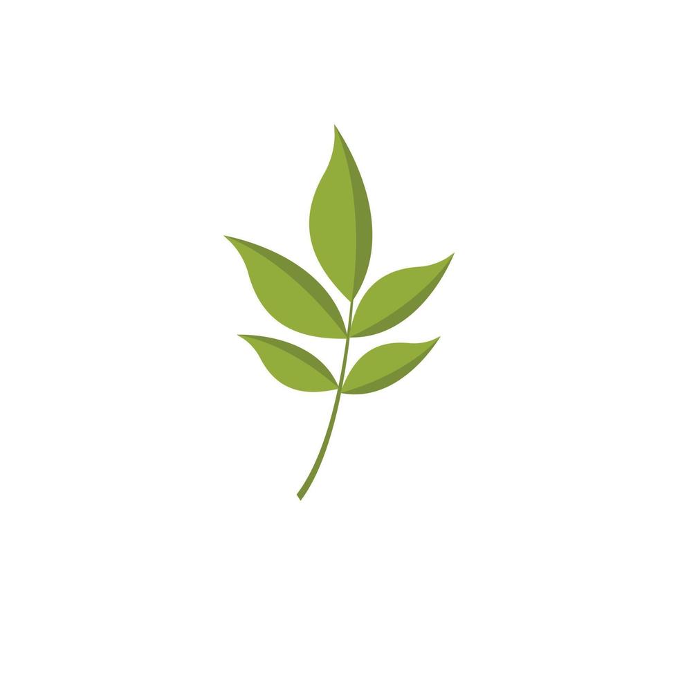 Ash leaf icon, flat style vector