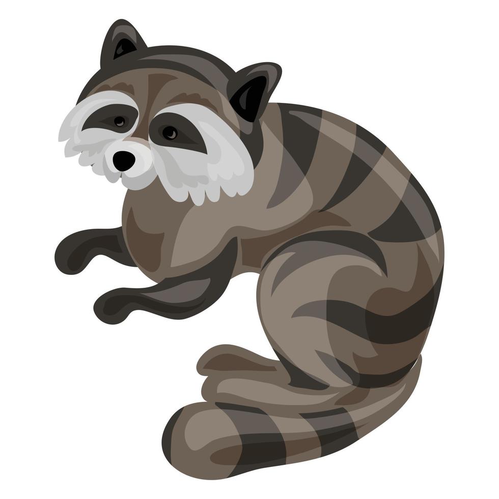 Raccoon icon, cartoon style vector