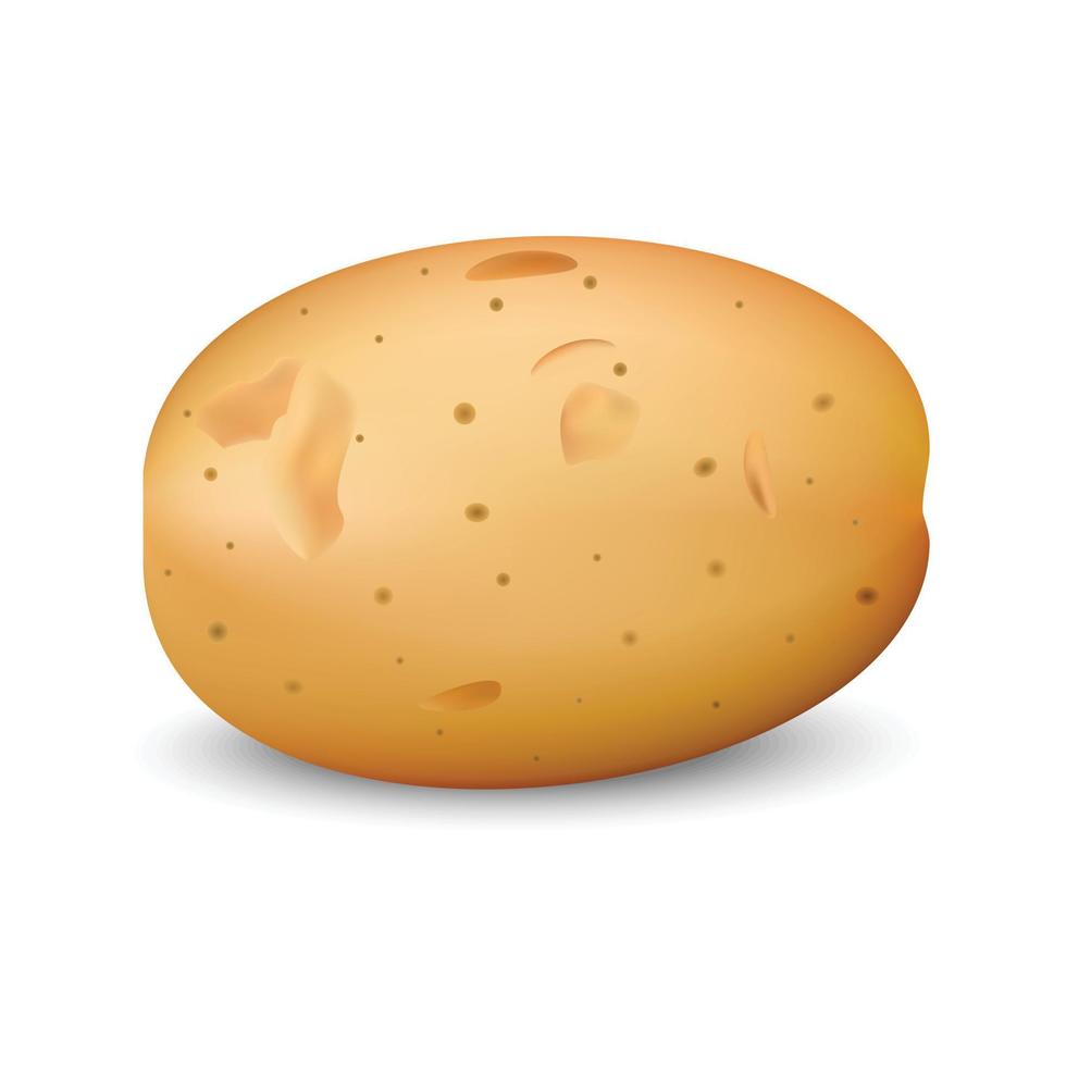 Yellow potato mockup, realistic style vector