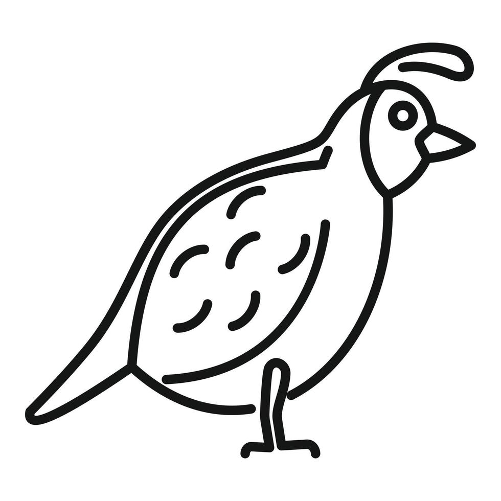 Quail fauna icon, outline style vector
