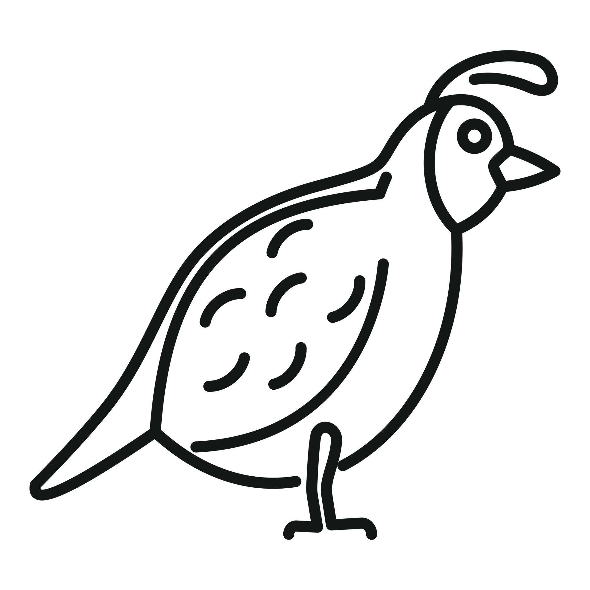 Quail fauna icon, outline style 14528683 Vector Art at Vecteezy