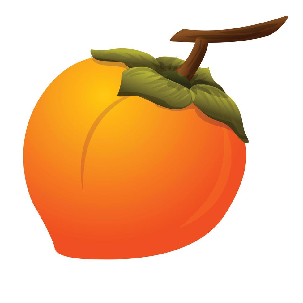 Persimmon sweet icon, cartoon style vector