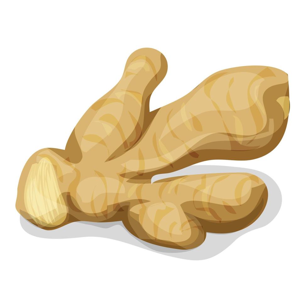 Ginger icon, cartoon style vector