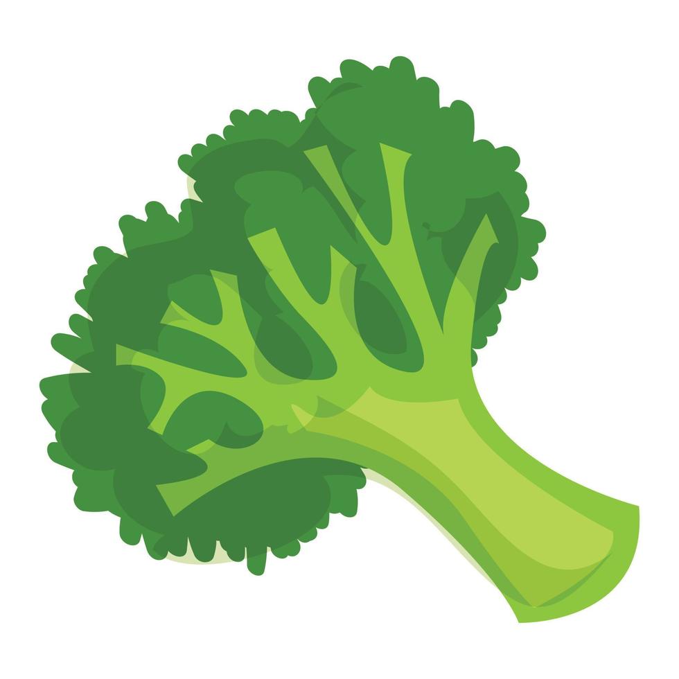 Healthy broccoli icon, cartoon style vector