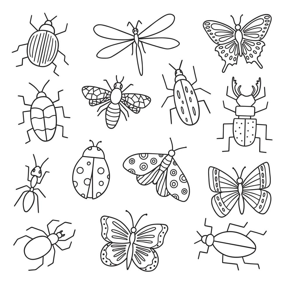 conjunto de garabatos de insectos. bichos, mariposa, libélula, araña, libélula en estilo boceto. ilustración vectorial dibujada a mano aislada sobre fondo blanco vector