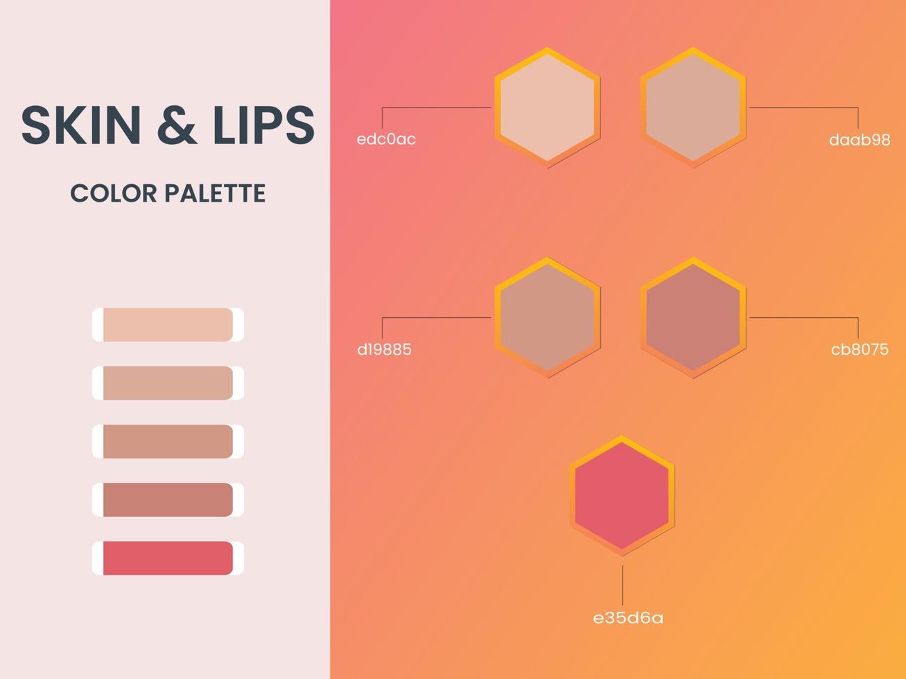 paleta de colores piel y labios vector