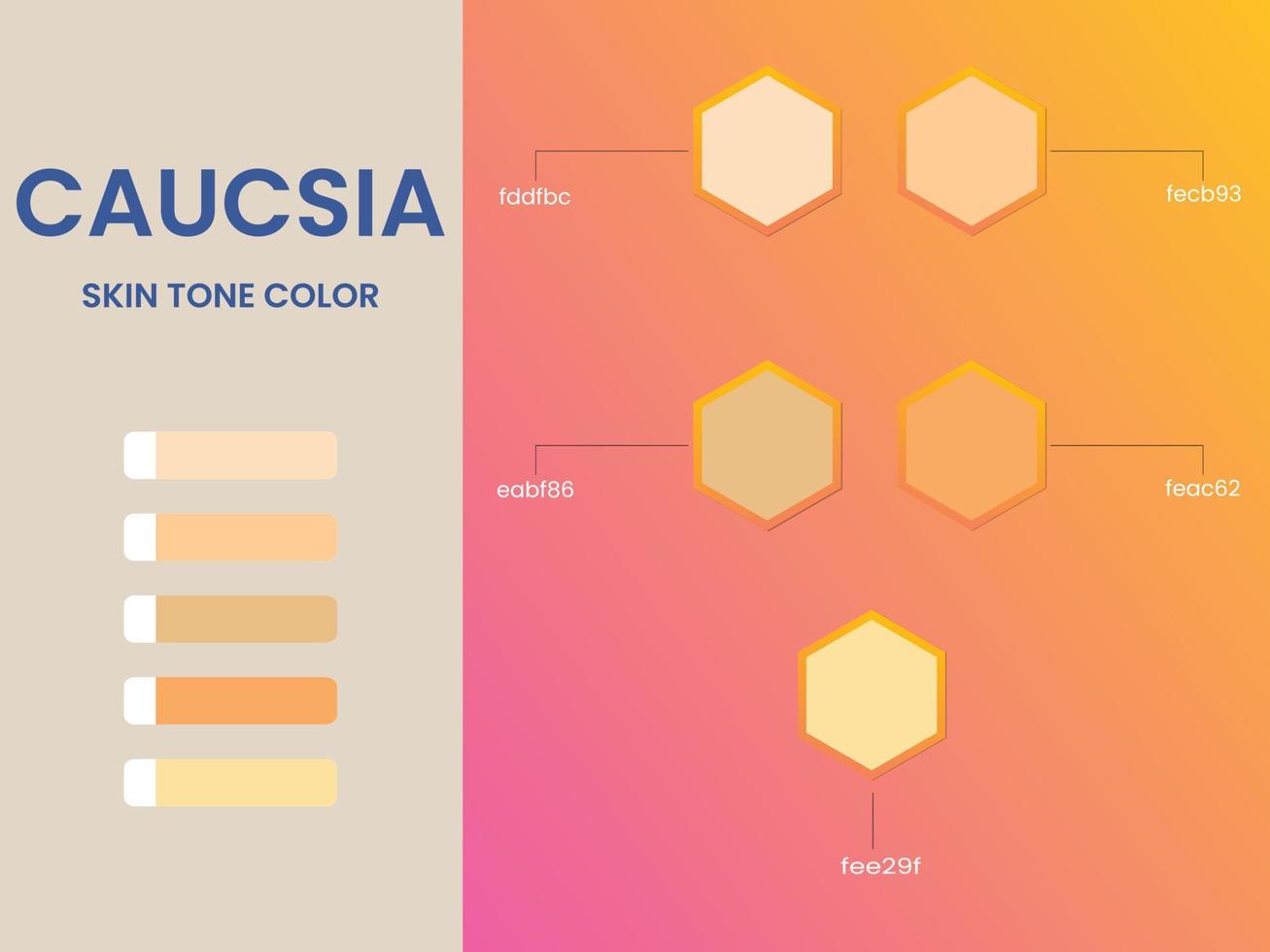 Caucsia skin tone color palette vector