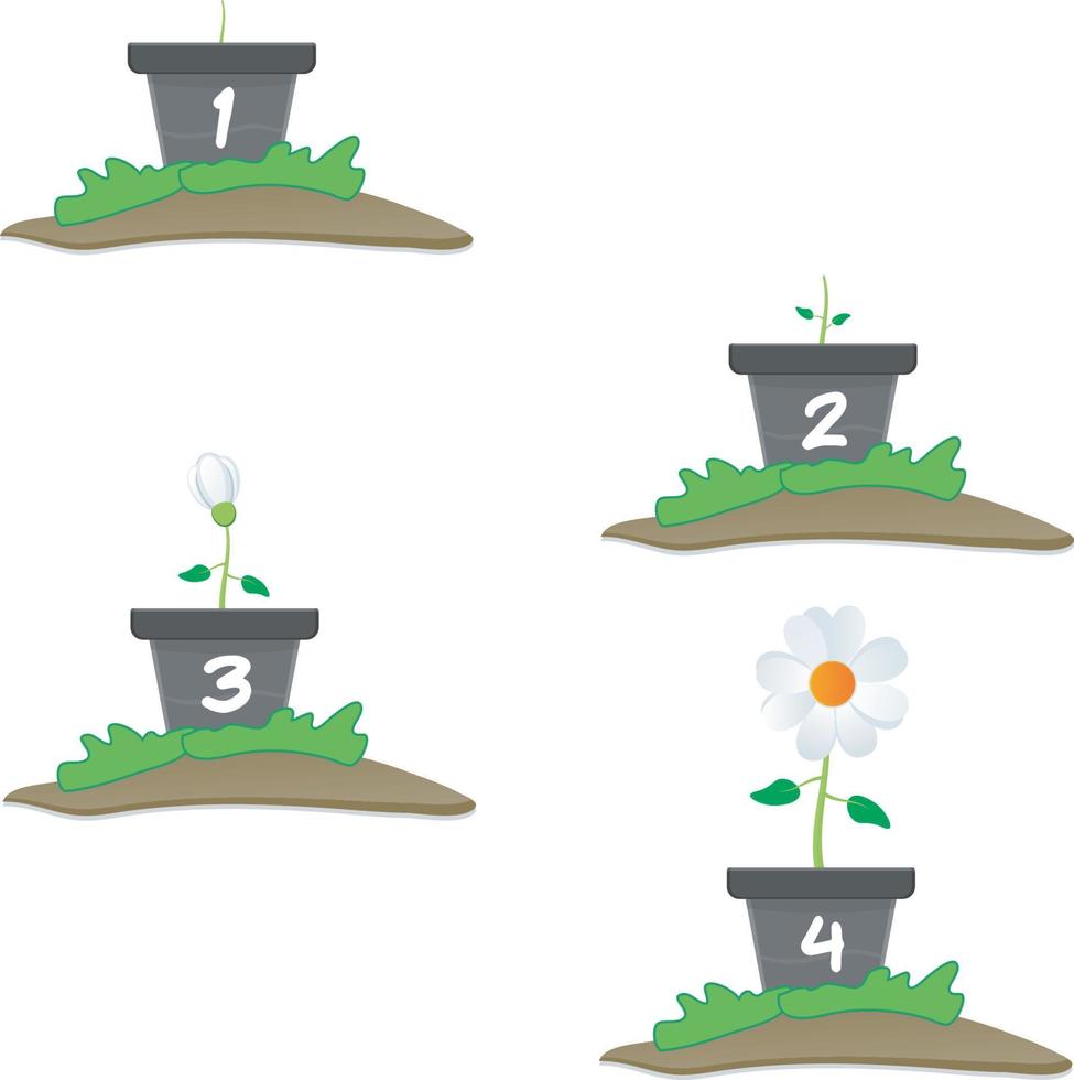 illustration of growing plant in a pot vector