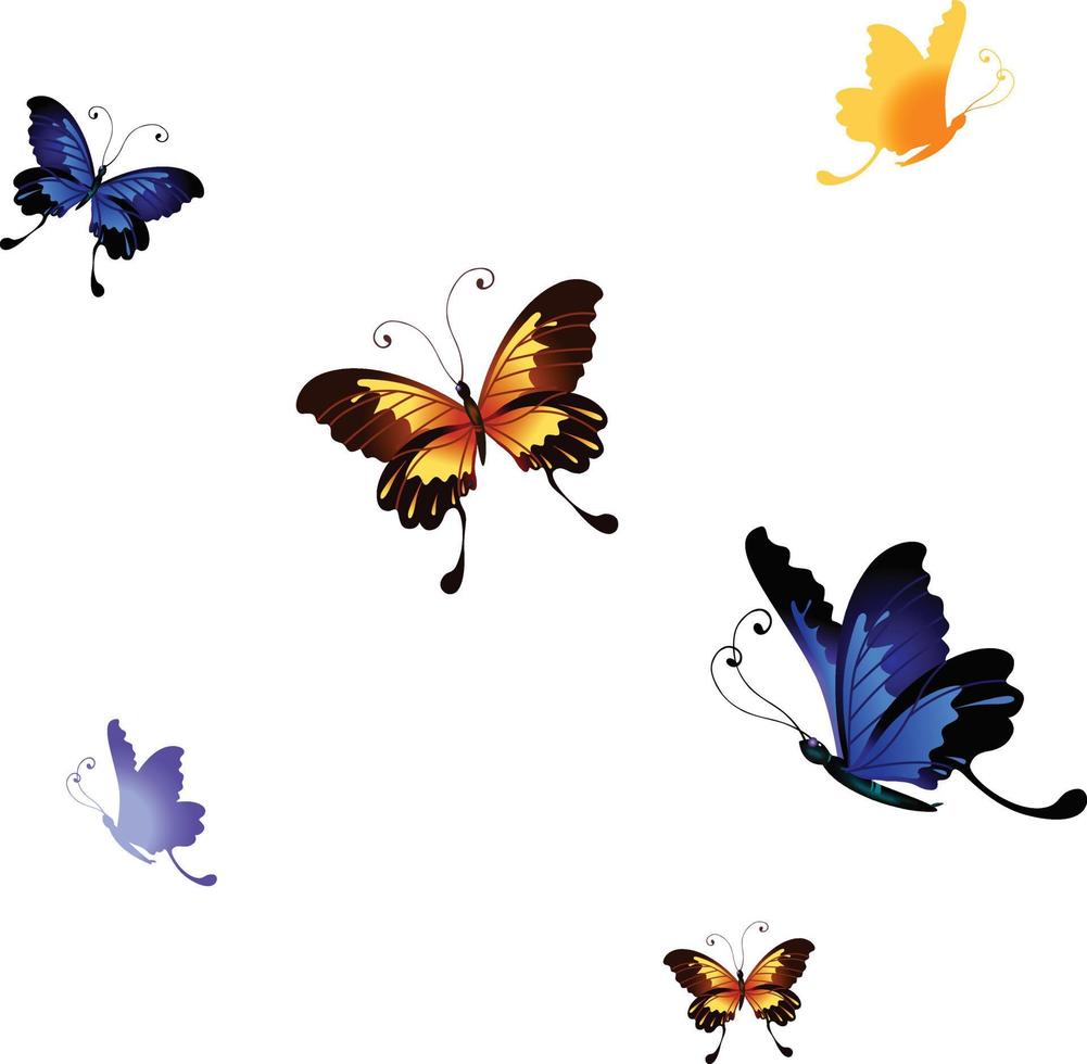 conjunto de mariposas de ilustración vectorial aislado sobre fondo blanco vector