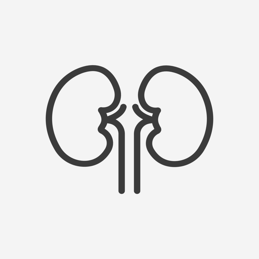 órgano, icono de riñón vector aislado. signo de símbolo médico