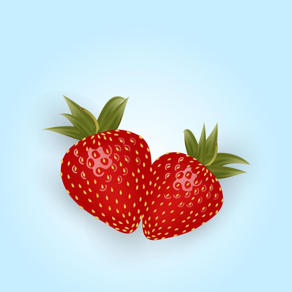 dos fresas fresa fresca aislada sobre fondo azul. comida dulce realista. fruta organica estilo de dibujos animados ilustración vectorial para cualquier diseño vector