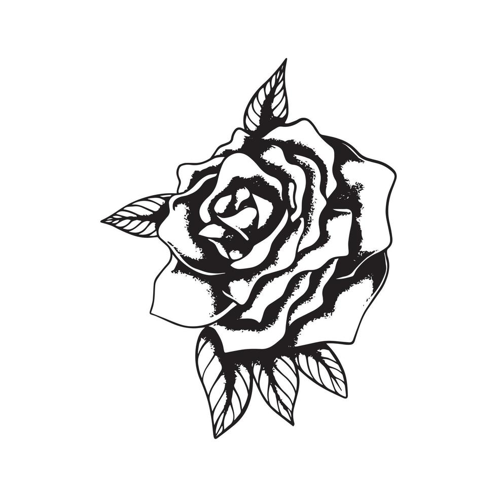 hand drawn rose line art illustration vector