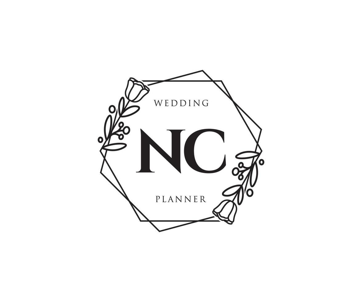 Initial NC feminine logo. Usable for Nature, Salon, Spa, Cosmetic and Beauty Logos. Flat Vector Logo Design Template Element.
