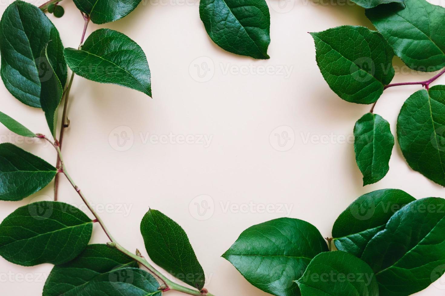 Circle frame of branches. photo