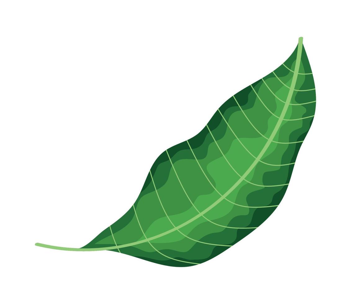 follaje de la planta de hoja de jardín vector